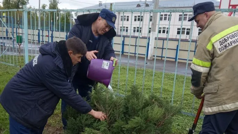 Пожарные высадили 40 деревьев в Подольске в память об участниках ВОВ