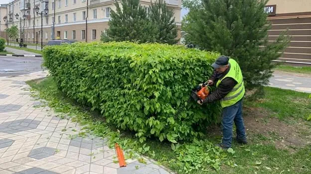 Более 400 млн кв м проездов и тротуаров привели в порядок в Подмосковье с начала марта