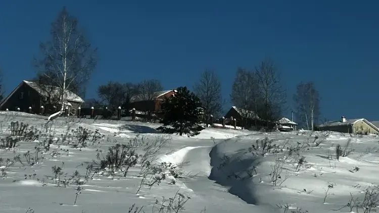 Участок на торгах