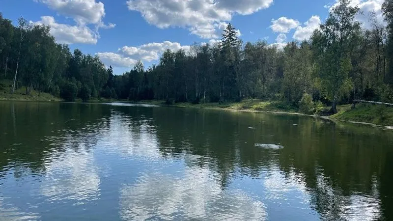 В Подмосковье приведено в порядок свыше 2 тыс мест отдыха у воды
