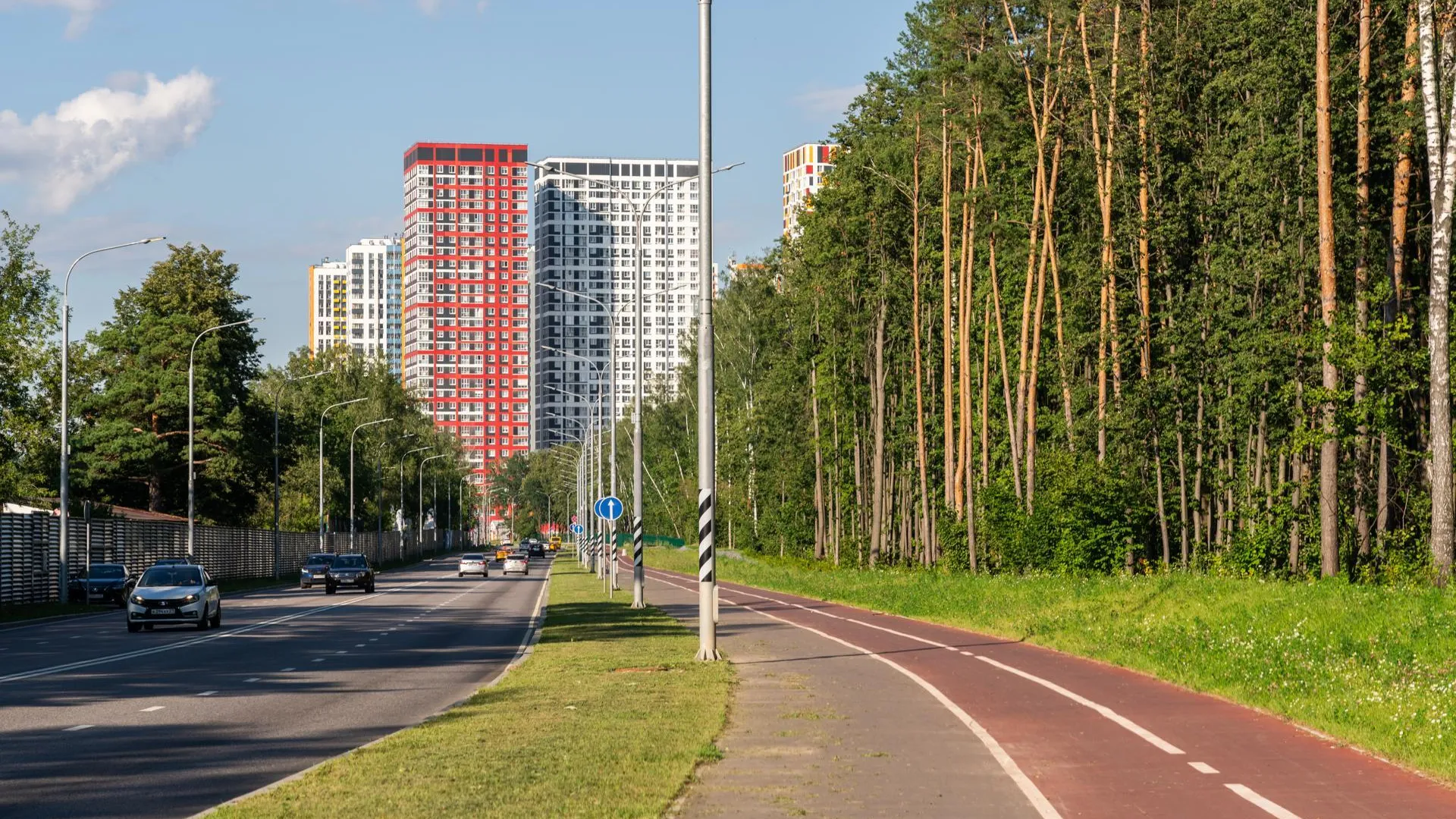 Более 25 социально значимых закупок опубликовали в Подмосковье за неделю