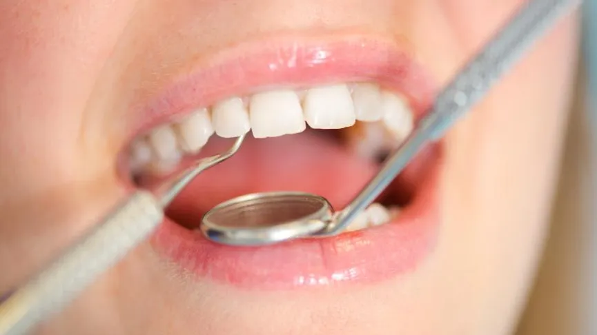 Ingram Publishing / Фотобанк Лори