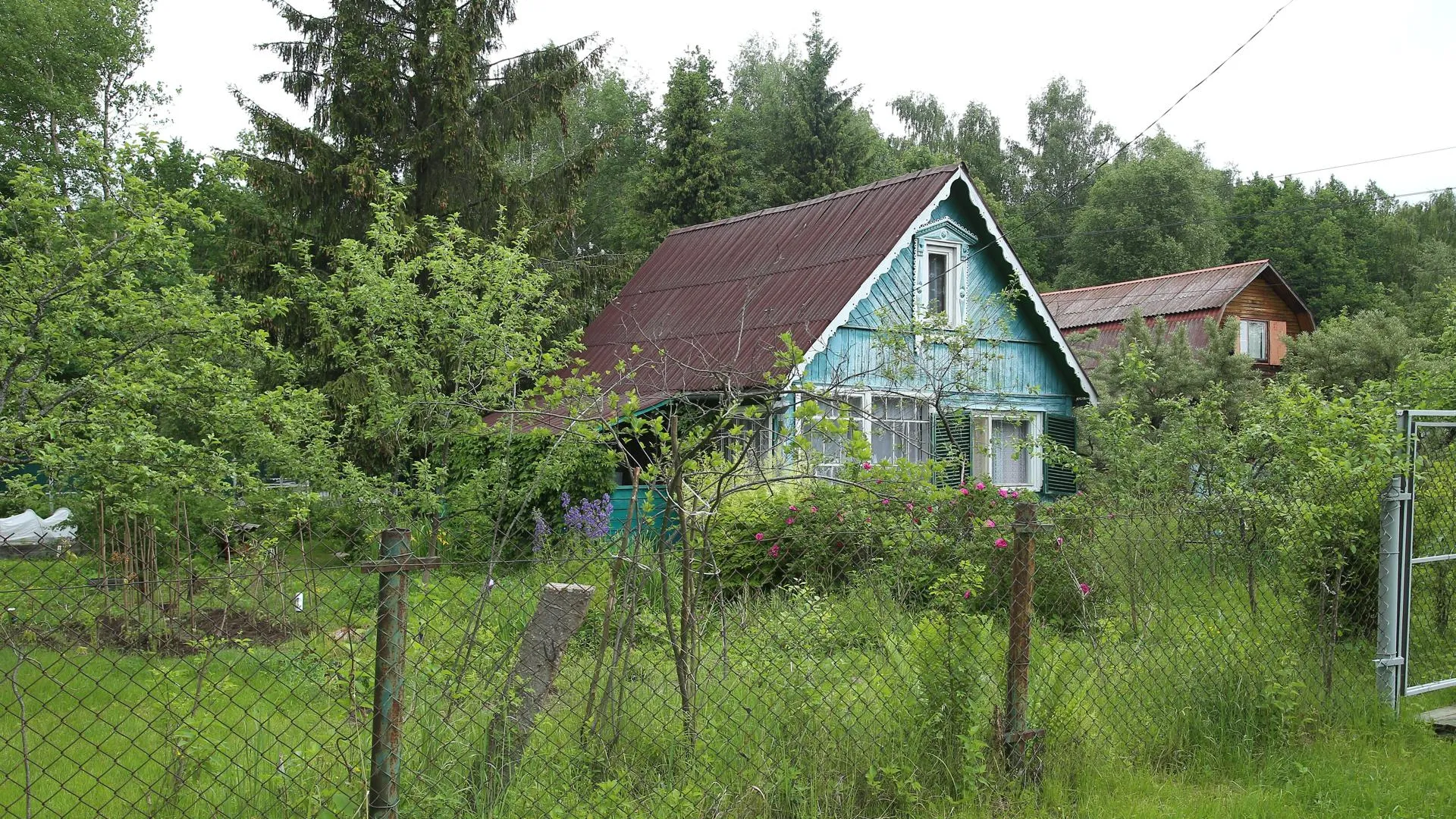 «Лесная амнистия» затронула около 140 тыс земельных участков в Подмосковье в 2021 г