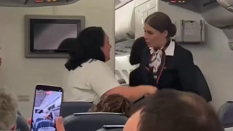 Пассажирка с сигаретой разгуливала по салону авиарейса Москва — Сухум