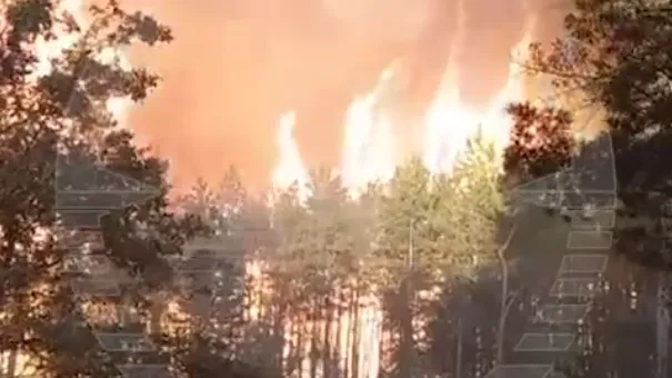 В Воронежской области лесной пожар перебросился на частные дома