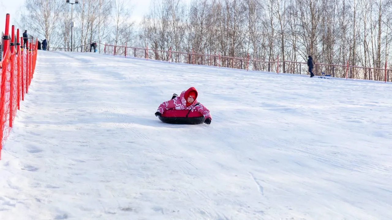 Более 10 тыс человек посетили три новых лесопарка в Подмосковье
