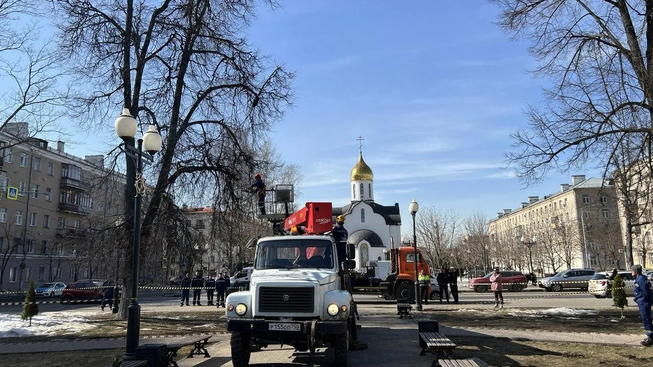В Подмосковье начался сезон опиловки сухостойных деревьев