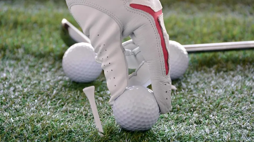 Ingram Publishing / Фотобанк Лори