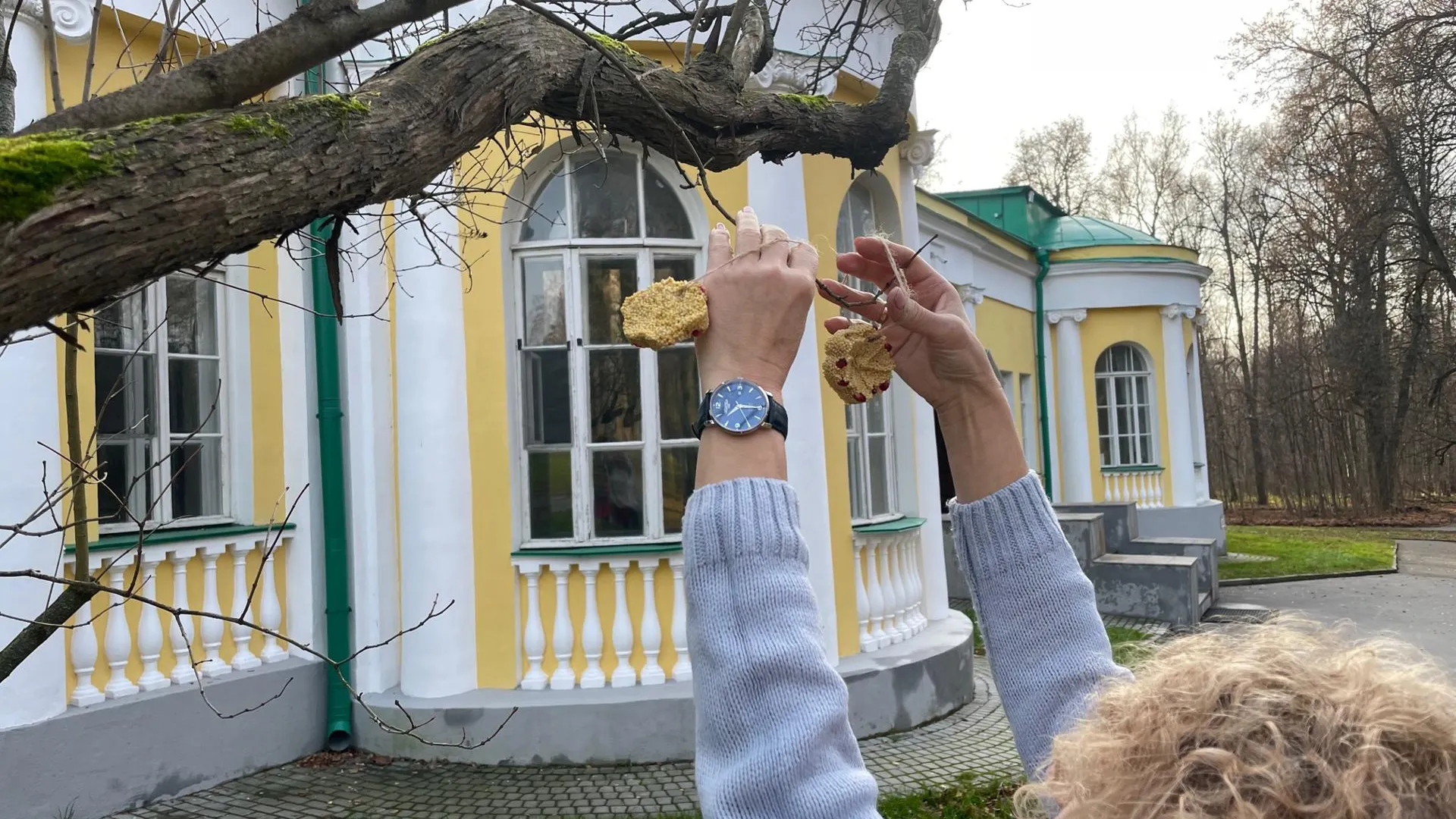 Акцию «Синичкин день» проведут 12 ноября в музее‑заповеднике «Горки Ленинские»