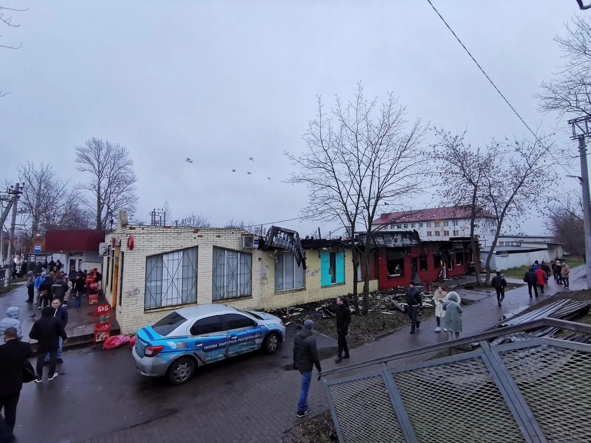 Галина Добрынина