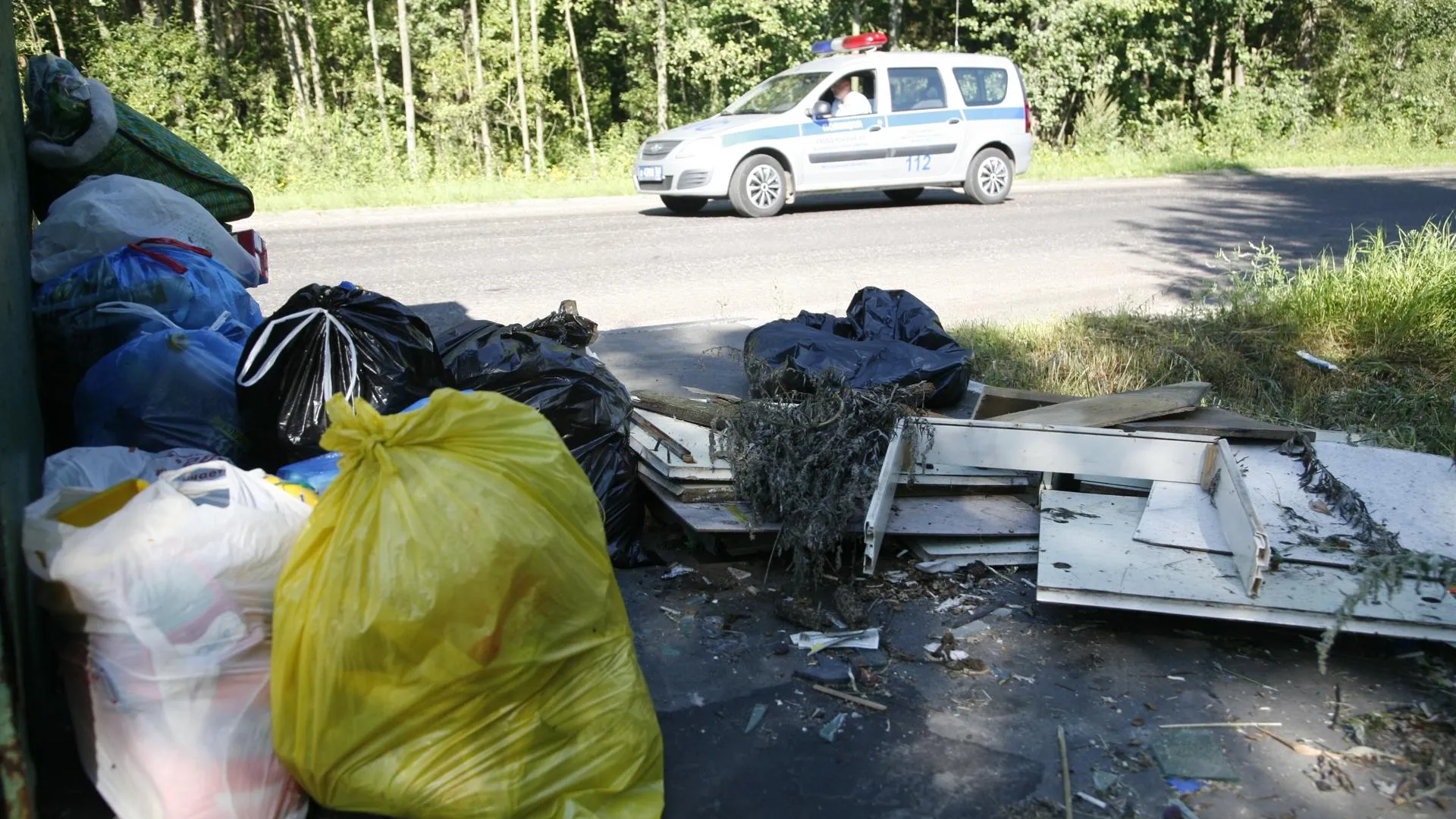 Около 1 тыс мешков мусора убрали активисты из лесов Красногорска за 1,5 года