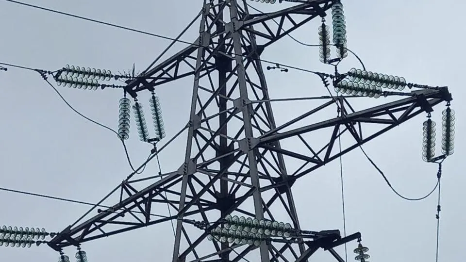 Свыше 140 птицезащитных устройств установили на линиях электропередачи в Подмосковье