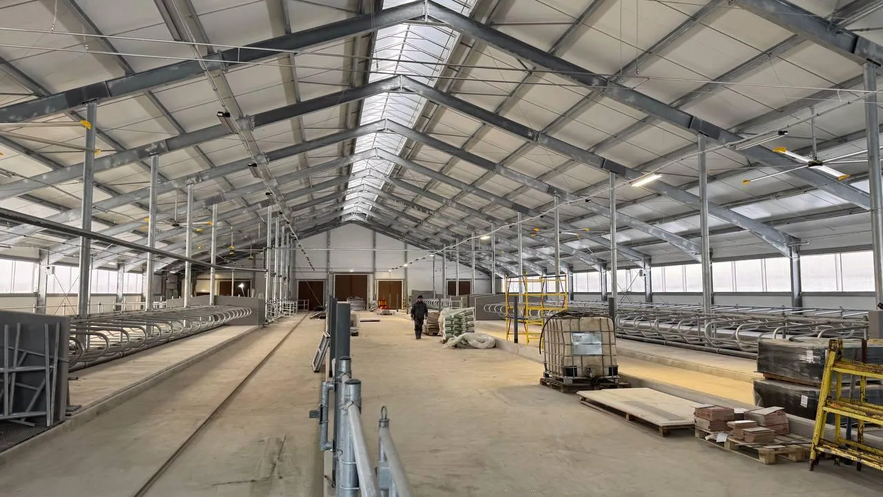 В Клину завершают проверку новой молочной фермы на 800 коров