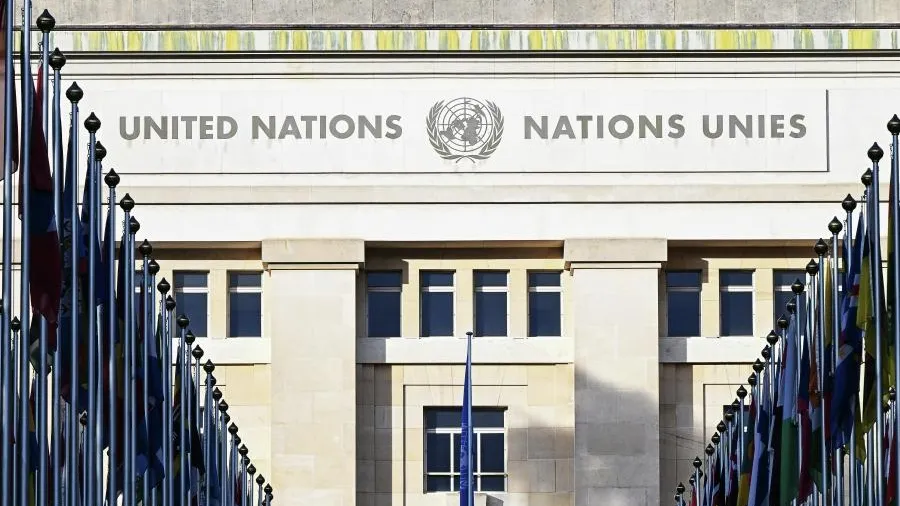 Екатерина Чеснокова