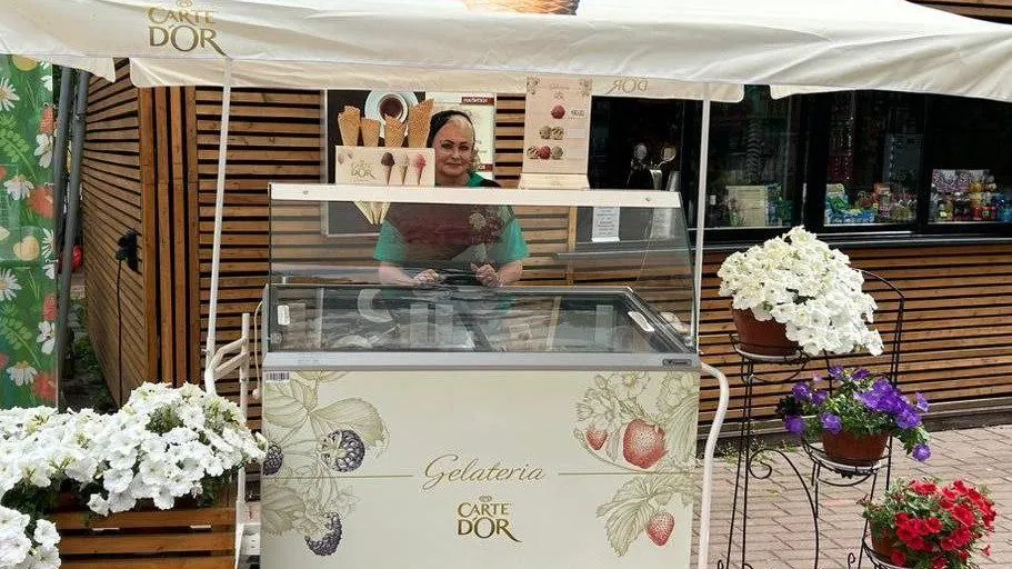 Число договоров на размещение торговых тележек выросло в Подмосковье