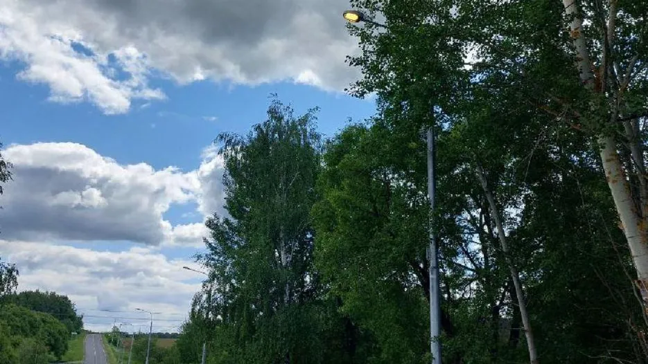 На дорогах в 7 округах Подмосковья восстановили работу линий освещения