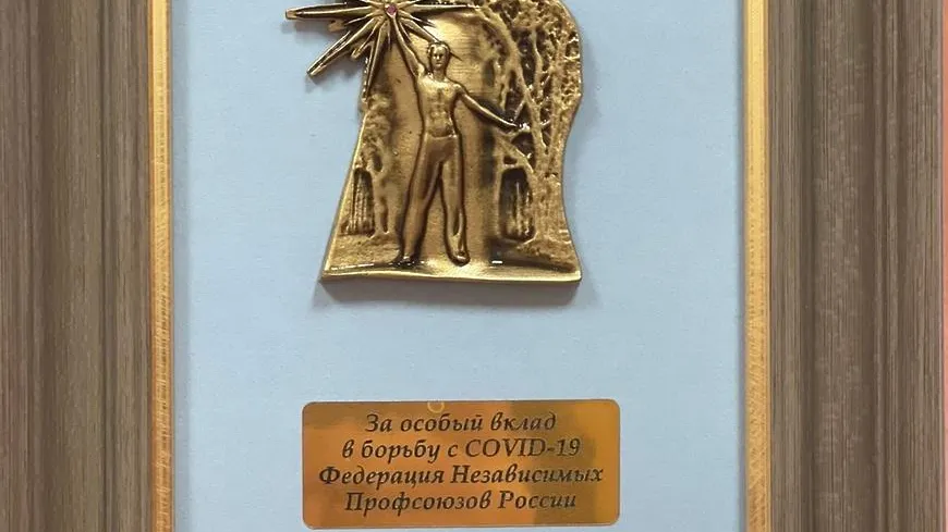 Больницу Домодедова наградили грамотой за особый вклад в борьбу с Covid‑19