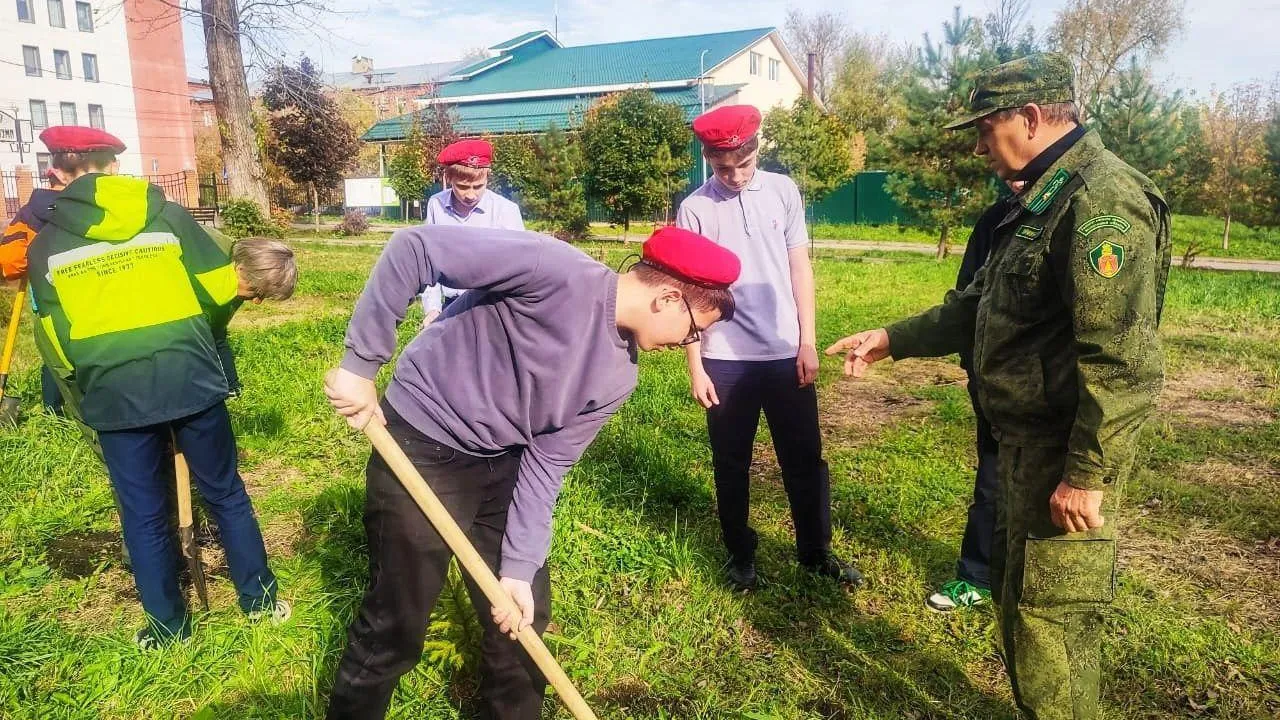 В Дмитровском округе в парке им Лямина высадили молодые ели