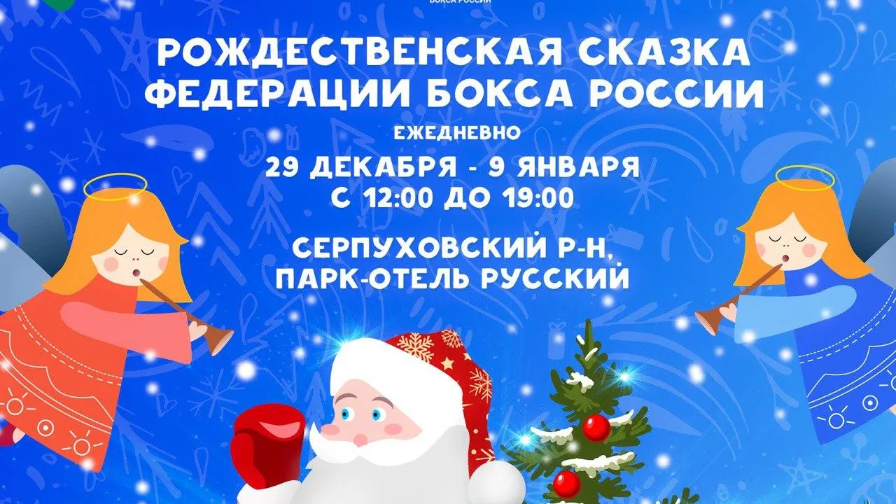 Воспитанники детских домов посетят Рождественскую елку от Федерации бокса РФ в Серпухове