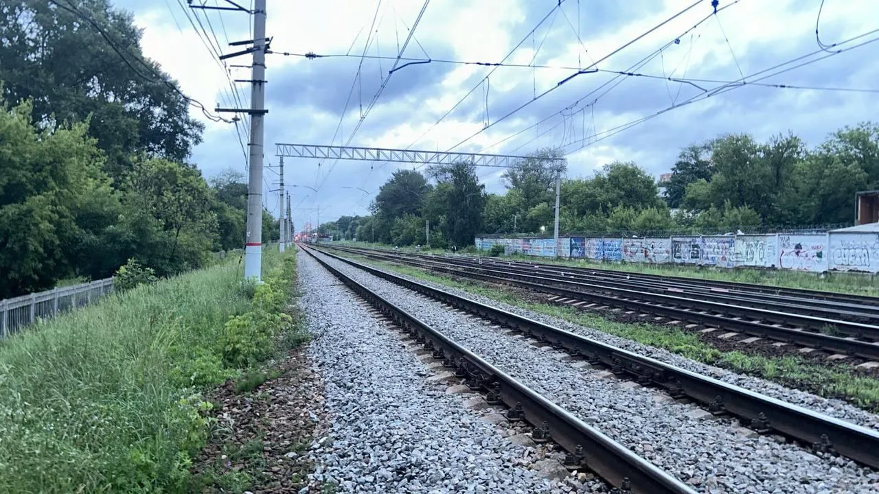 В Подмосковье девушка пыталась обойти лужу и погибла под колесами поезда