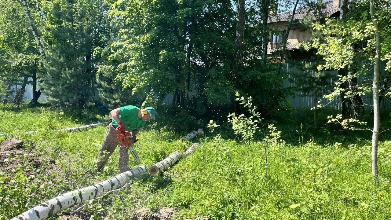 В Подольске убрали 14 аварийных деревьев у деревни Северово