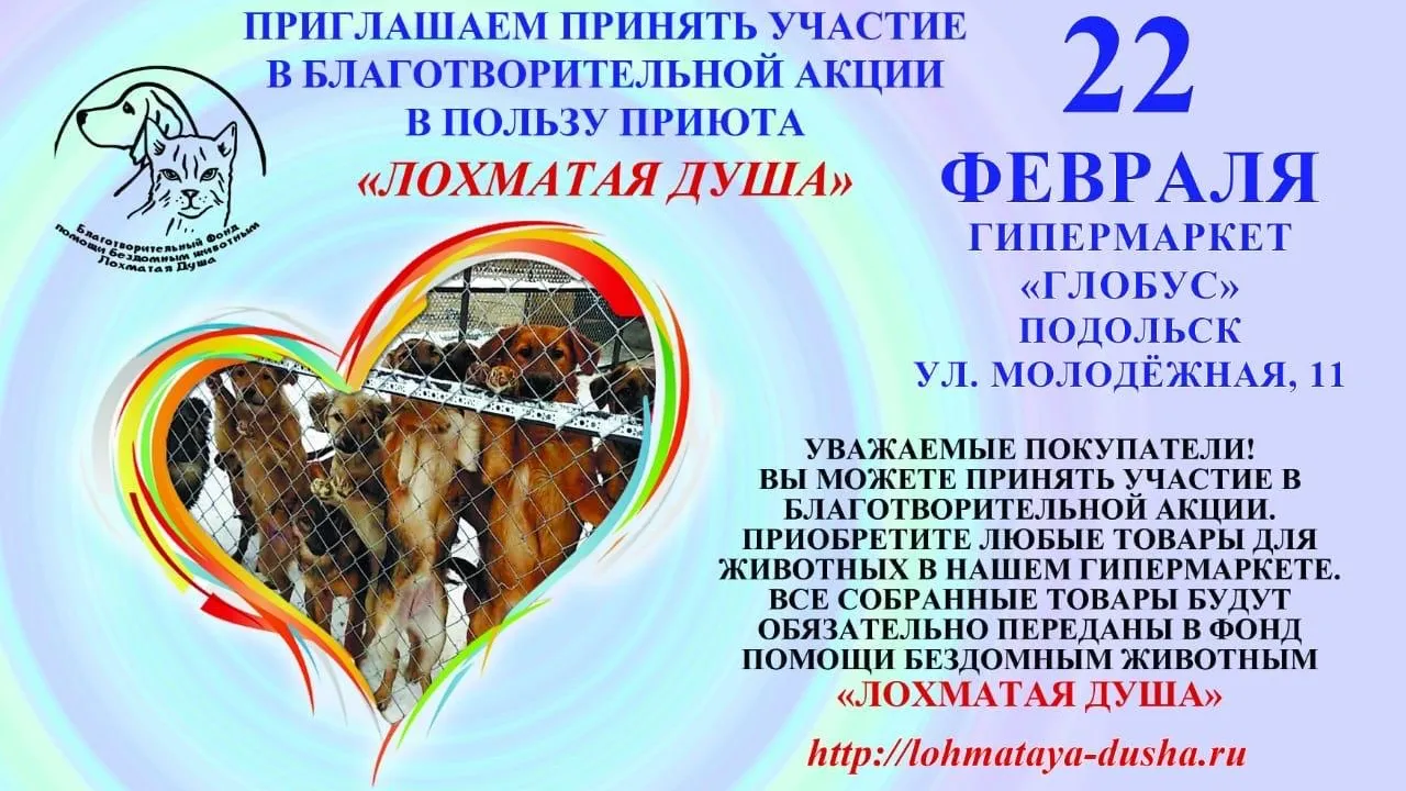 Благотворительная акция помощи приюту для животных пройдет 22 февраля в Подольске