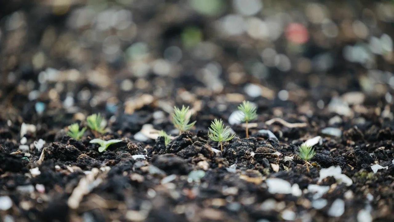 На подмосковном КПО «Нева» подвели итоги эксперимента техногрунта