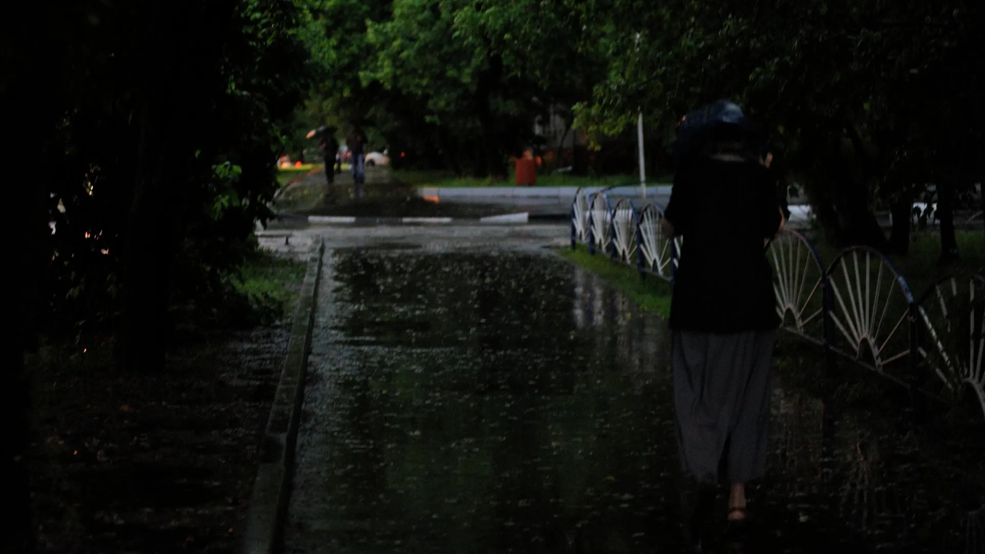 33% от месячной нормы осадков выпало в Московском регионе за ночь