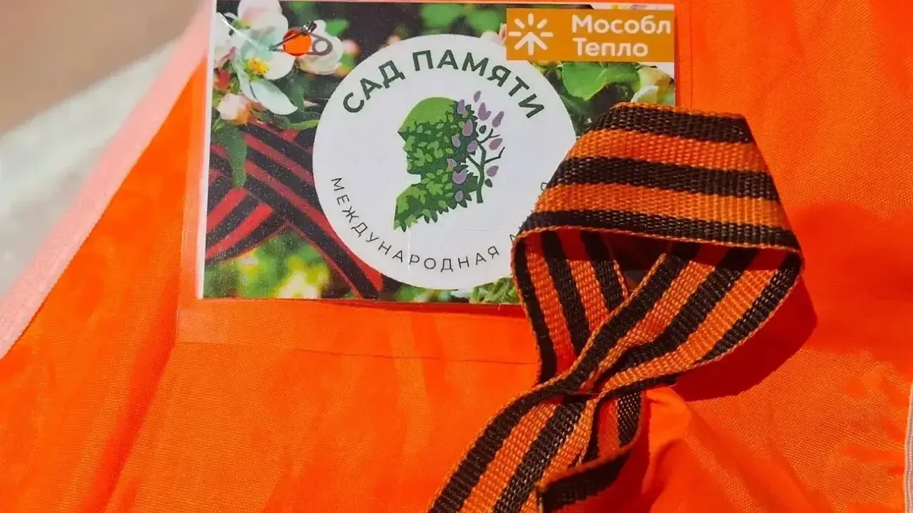 В Можайском округе высадили 1 600 елей в рамках акции «Сад памяти»