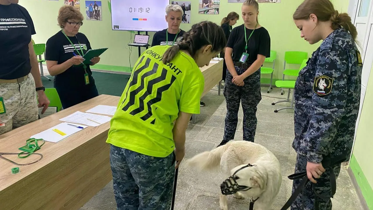 Подмосковная команда завоевала 95 медалей на чемпионате «Профессионалы»