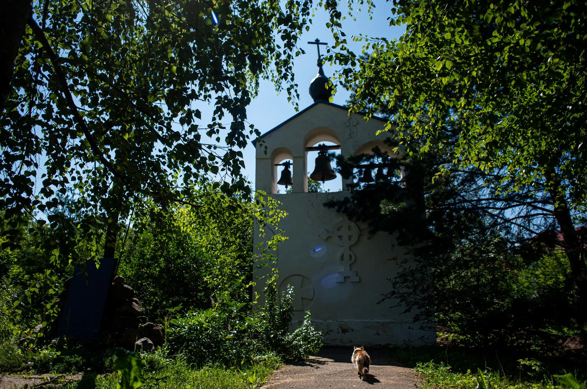 Мария Шуревская