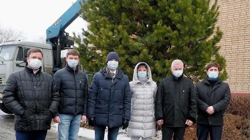 Депутаты Подольска посадили живую ель из питомника на территории роддома