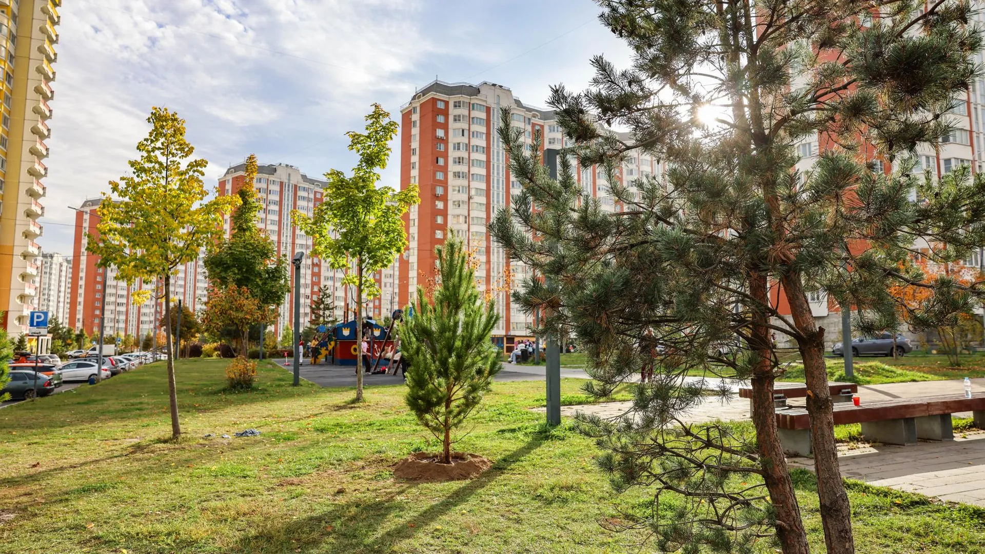 В Боброво Ленинского округа высадили 72 сосны