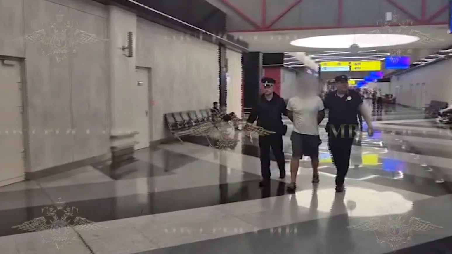 Опубликовано видео задержания неадеквата, швырнувшего ребенка в Шереметьеве