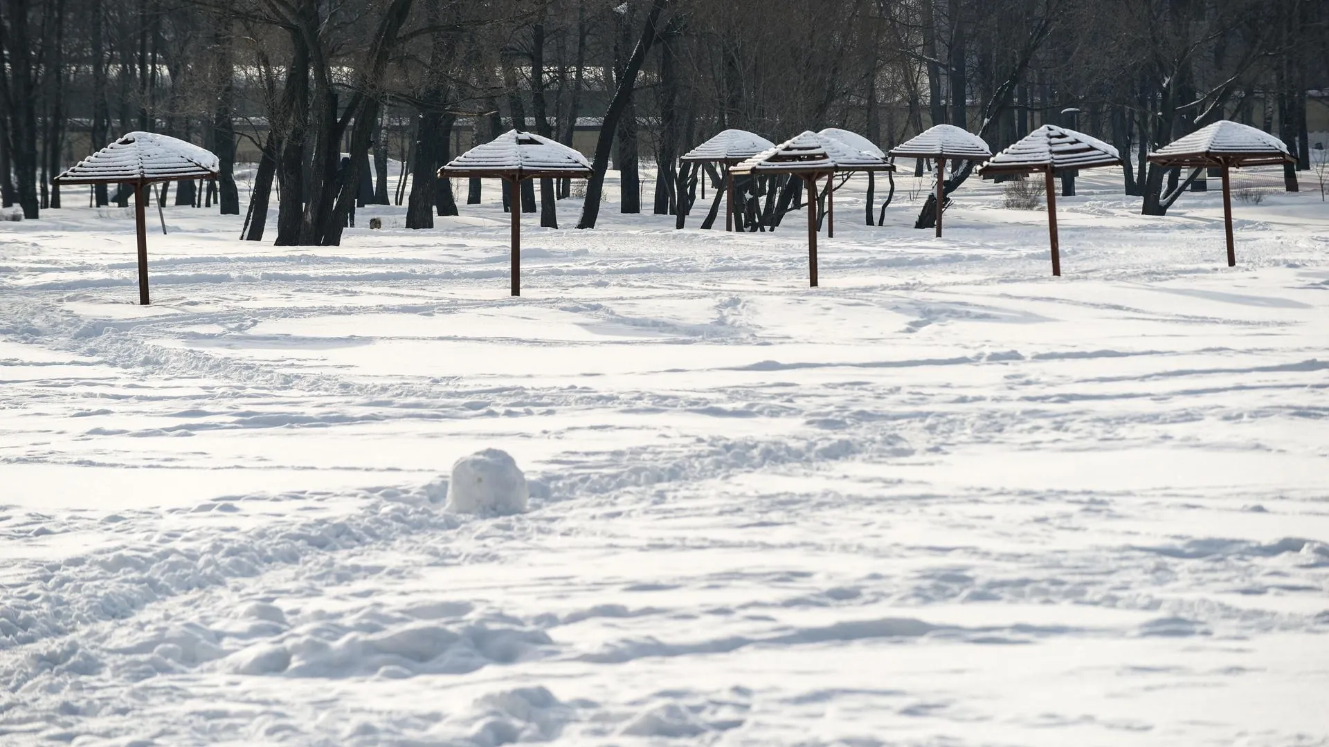 Высота сугробов в Подмосковье превысила 50 см