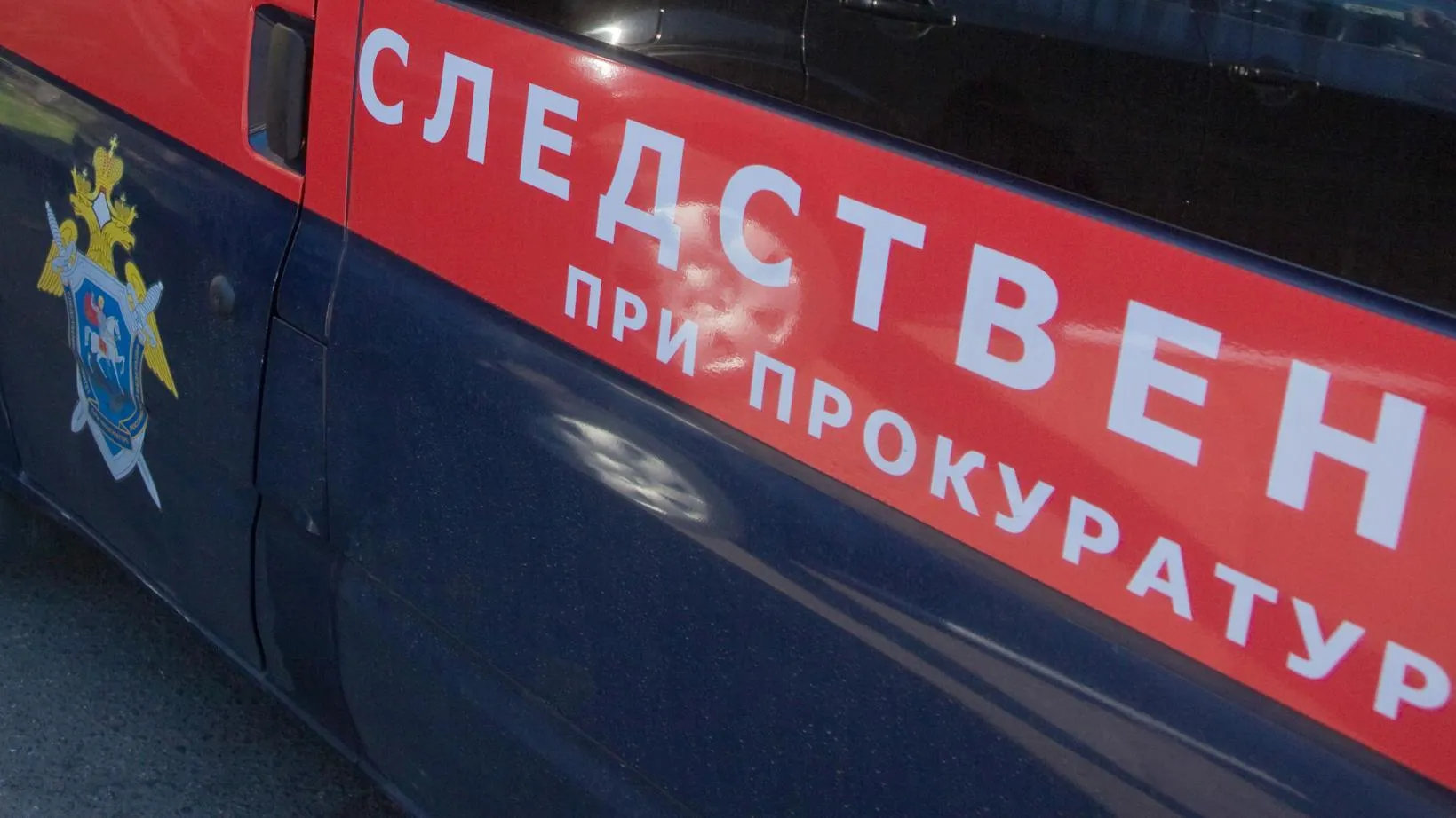 Женщине, заказавшей убийство сестры экс‑возлюбленного в Подмосковье, предъявили обвинение