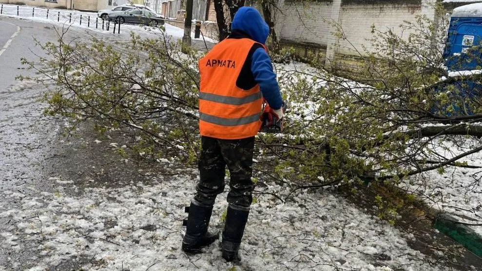 В Подмосковье устраняют последствия циклона Илви