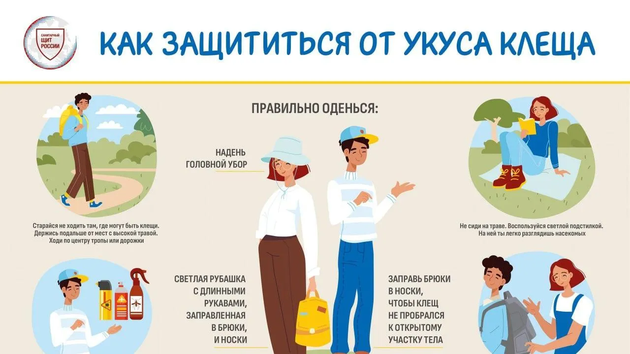 В Подмосковье более 12,5 тыс раз обратились за помощью из-за укусов клещей