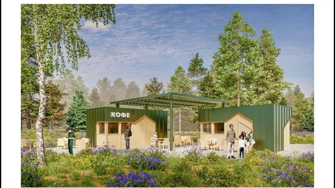 До конца лета 2027 года лесопарк «Елочки» в Наро-Фоминске ждет масштабное преображение