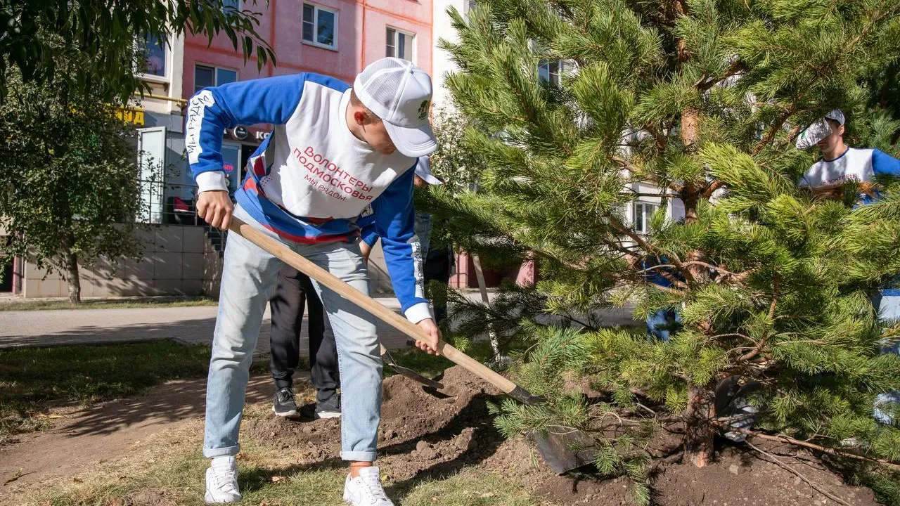 Все площадки Реутова подготовили к общеобластному субботнику