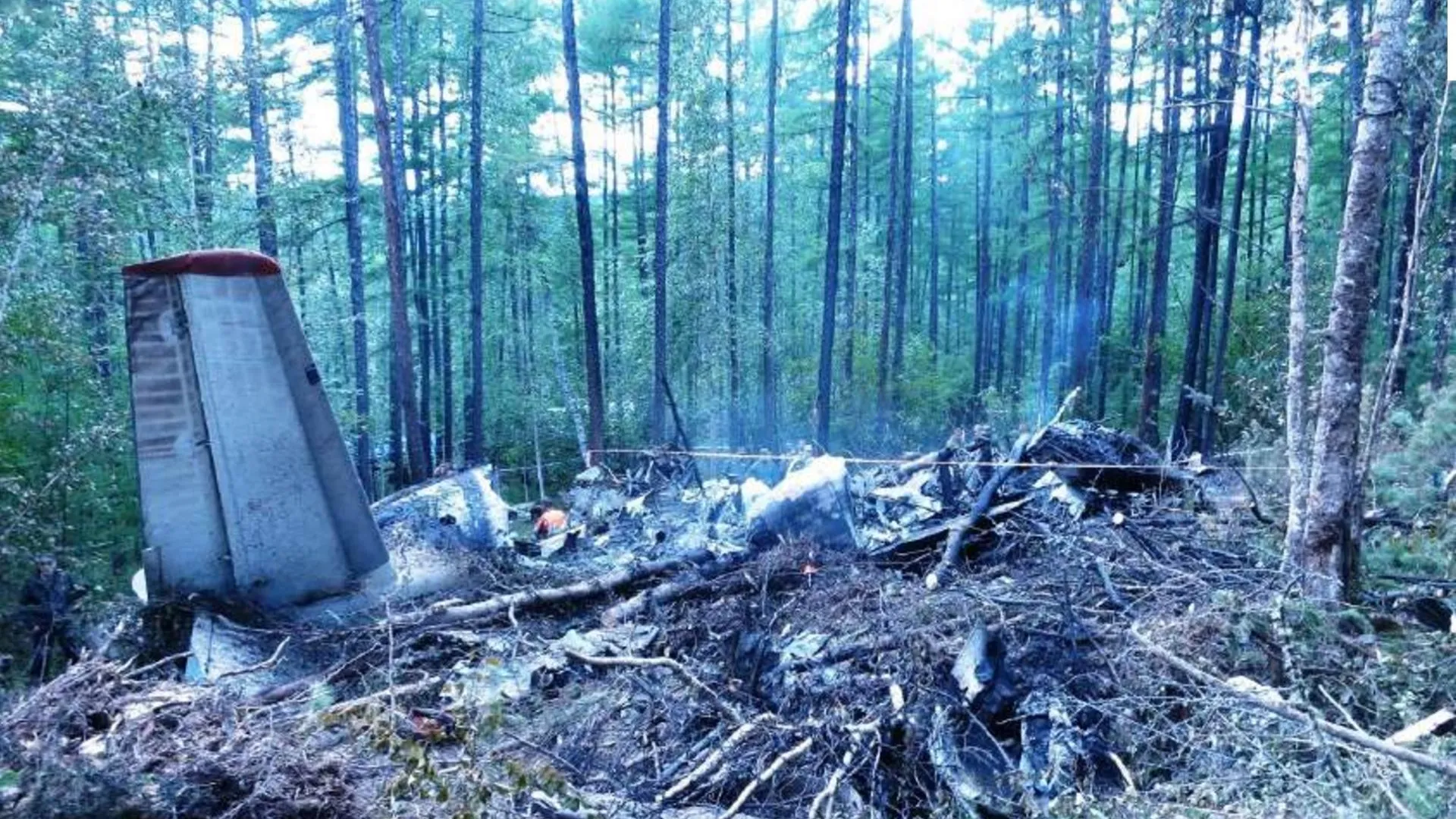 Стала известна причина крушения самолета Ан-24 около Тынды в июле 2025 года