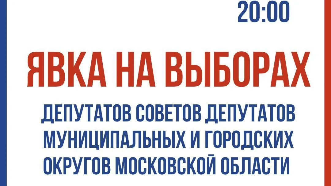 Явка в первый день выборов в Подмосковье составила 14,35%