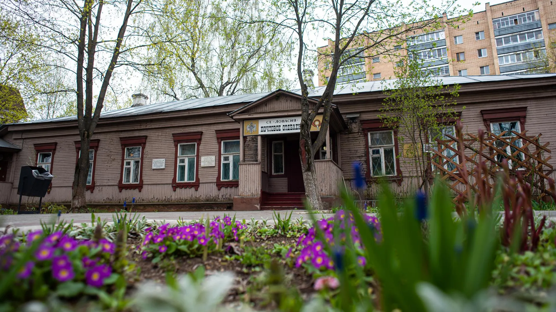 20 тыс посетителей ожидается в подмосковных музеях в День России