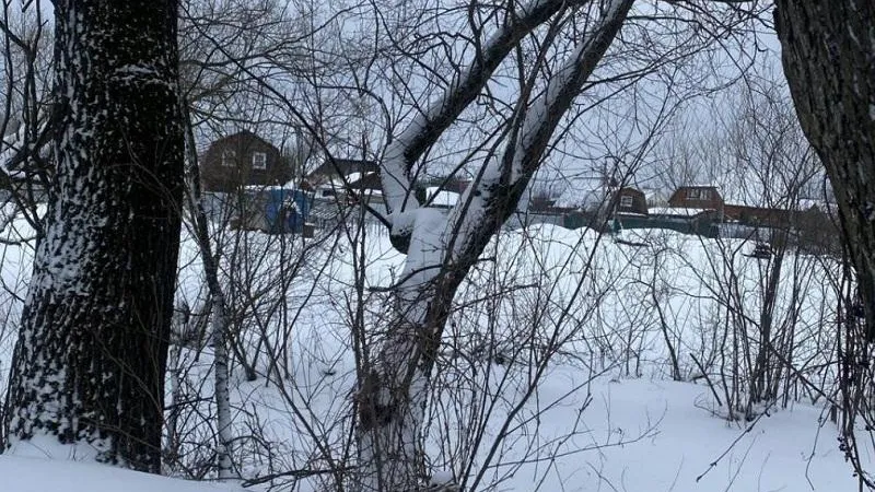 В Дмитровском округе продолжается работа по прекращению незаконного использования земель