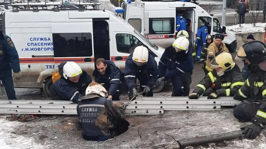 По газонам не ходить: мужчина провалился под землю в Нижнем Новгороде