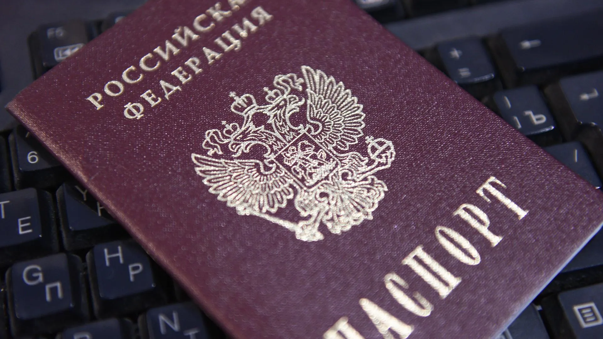 Пункты ускоренного получения паспортов для беженцев из Донбасса создадут в Подмосковье