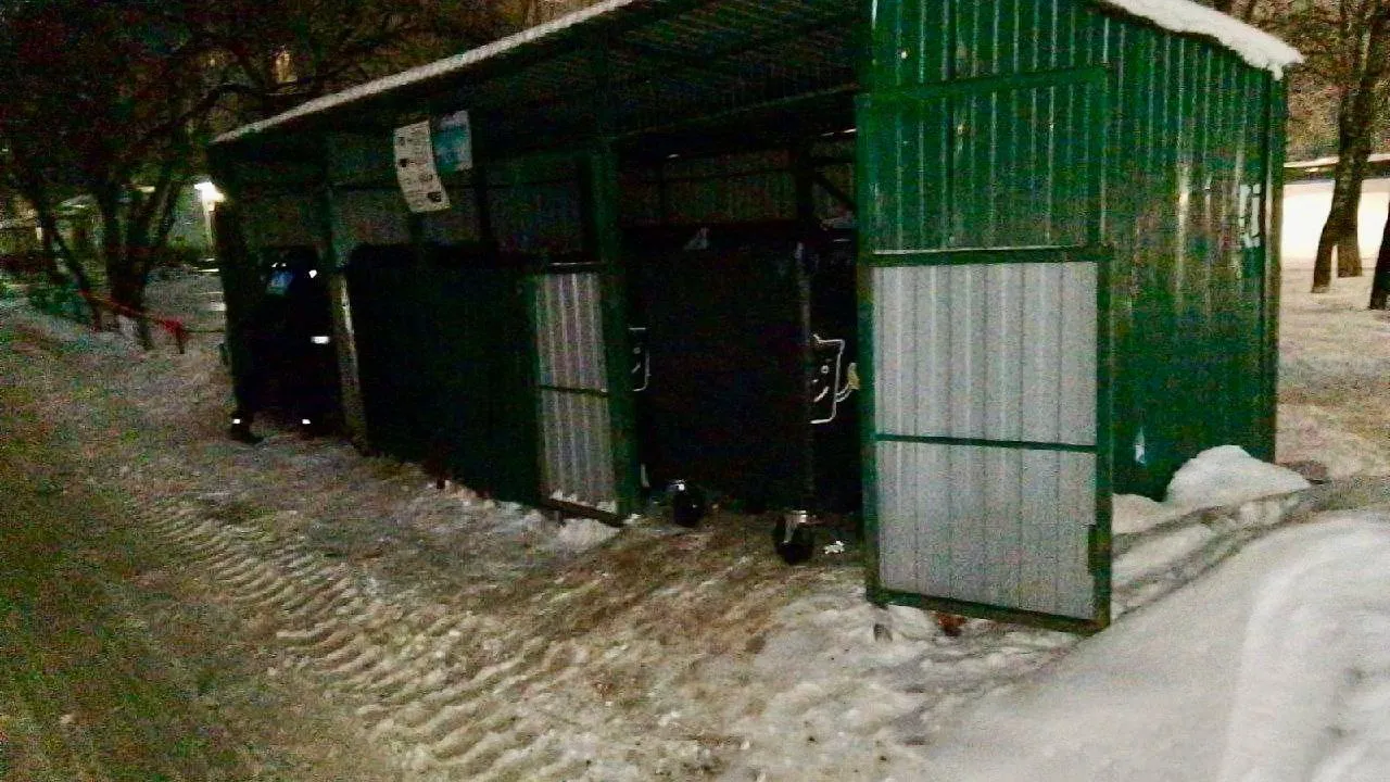 Контейнерную площадку в Подольске по просьбе жителя привели в порядок