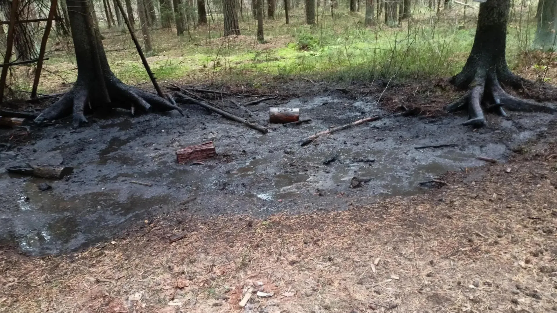 В Павлово-Посадском округе ликвидировали торфяной пожар