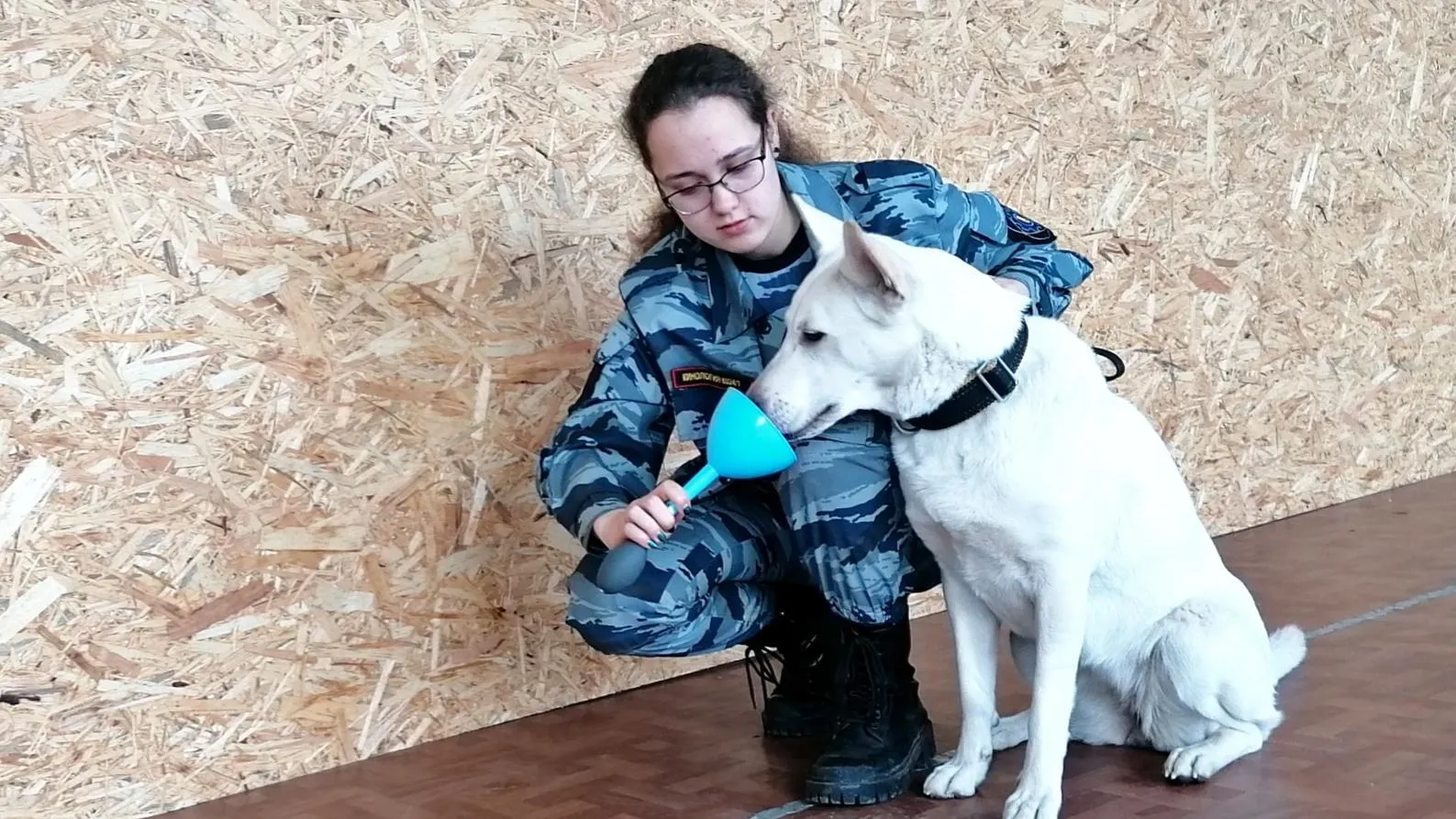 Студентка из Щелкова стала самым молодым изобретателем в области кинологии