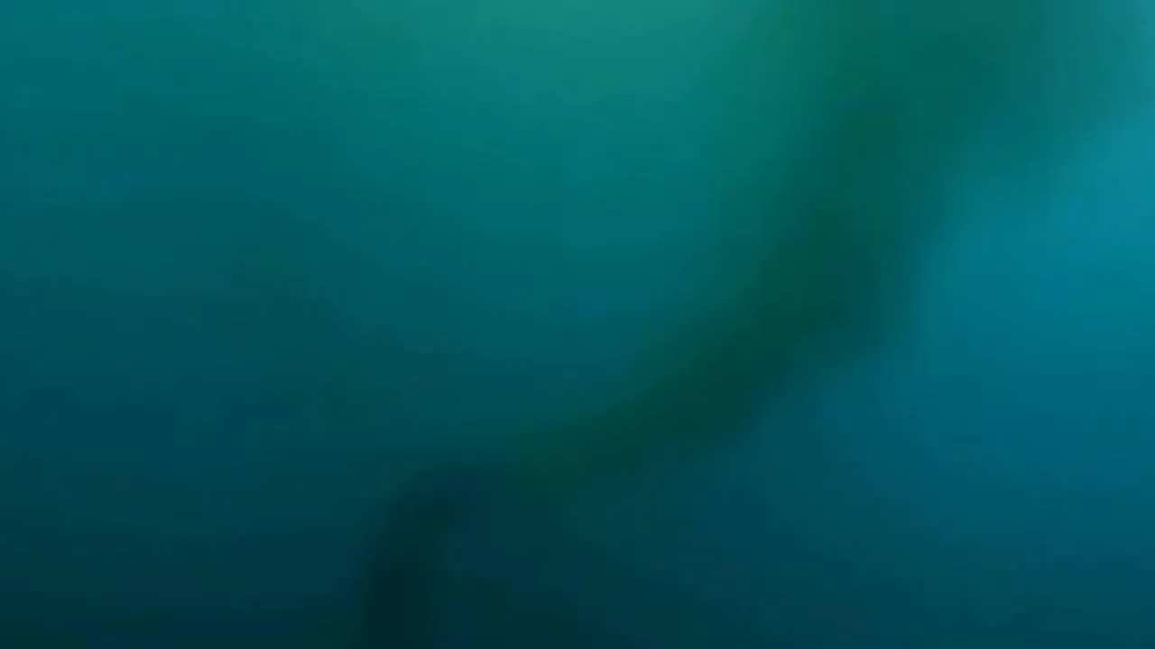 Плавают фекалии: один из самых популярных пляжей Турции загрязнен сточными водами